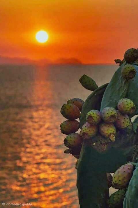 A Pozzallo Vicino Al Mare Exterior foto